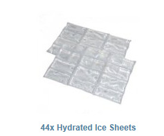 Ice Sheets with water