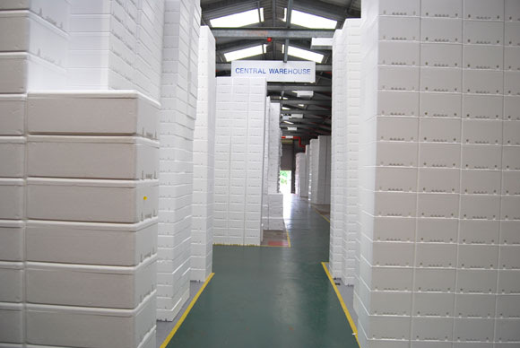 Polystyrene Boxes Warehouse