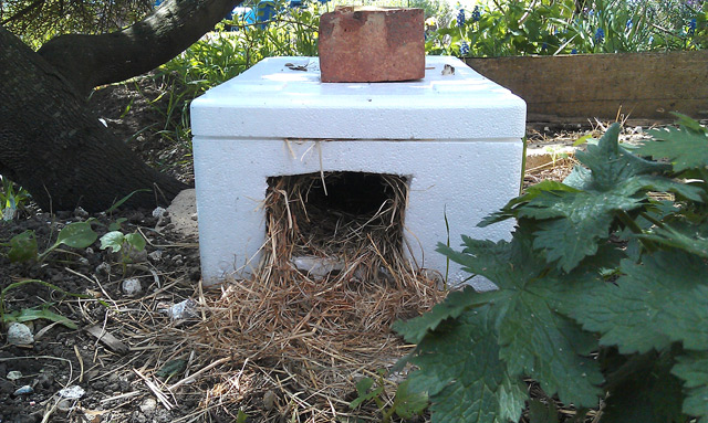 Homemade Hedgehog House